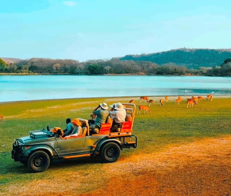 Sawai Madhopur: Ranthambore National Park Guided Jeep Safari - Wildlife Expectation Levels: Tigers First, But Don’t Ignore the Rest
