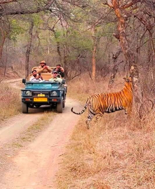 Sawai Madhopur: Ranthambore National Park Guided Jeep Safari - Photo Opportunities: What to Shoot and How to Prepare for Quick Moments