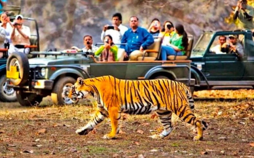 Sawai Madhopur: Ranthambore National Park Guided Jeep Safari - Meet-Up and Getting In the Right Mindset (Hotel Pickup or Shri Ganpati Dhaba)