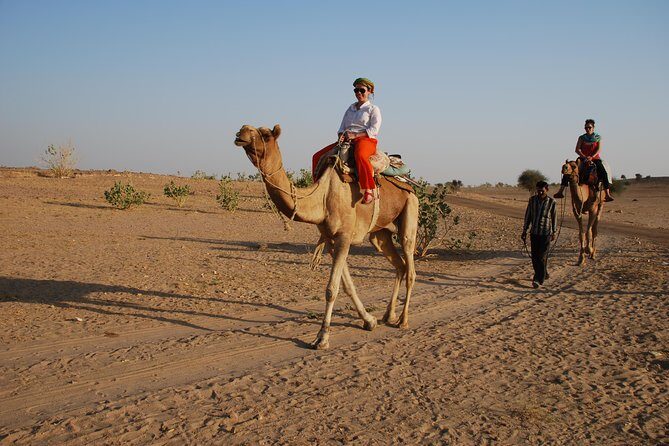 Shahi Half day non touristic sand dune camel safari with dinner - Jeep to dunes: efficient travel without losing the magic