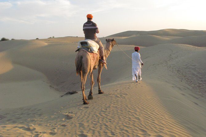 Shahi Half Day Sunset Camel ride & Cultural program & dinner - How This Sunset Camel Safari Actually Feels (Not Just What It Includes)