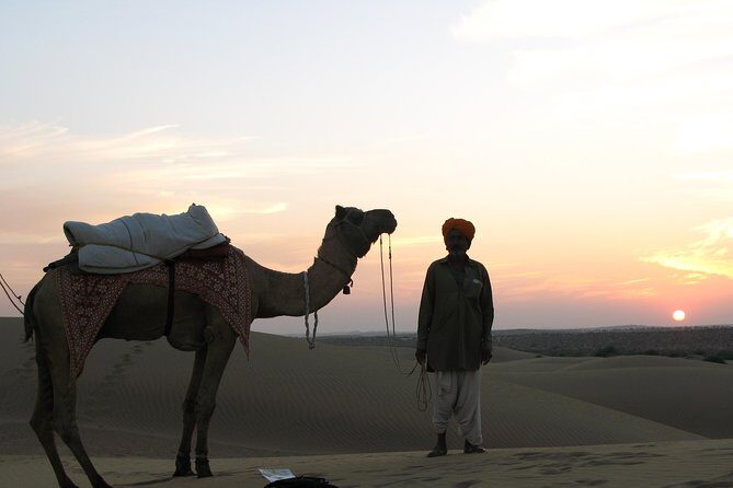 Shahi Half Day Sunset Camel ride & Cultural program & dinner - Jeep Ride Out to Sam Sand Dunes (And Why That First Leg Matters)