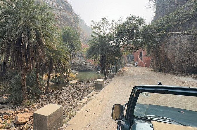 Sightseeing Private tour to Ranthambore Fort and Ganesh Temple. - Price and value: what $25.51 per person really buys you