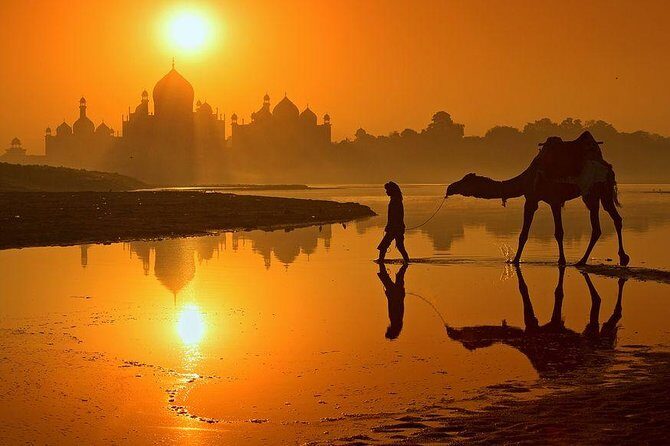 Skip the Line: Half Day Sunrise Tour of Taj Mahal by TUK TUK - Who this tour suits best (and who might want a different format)