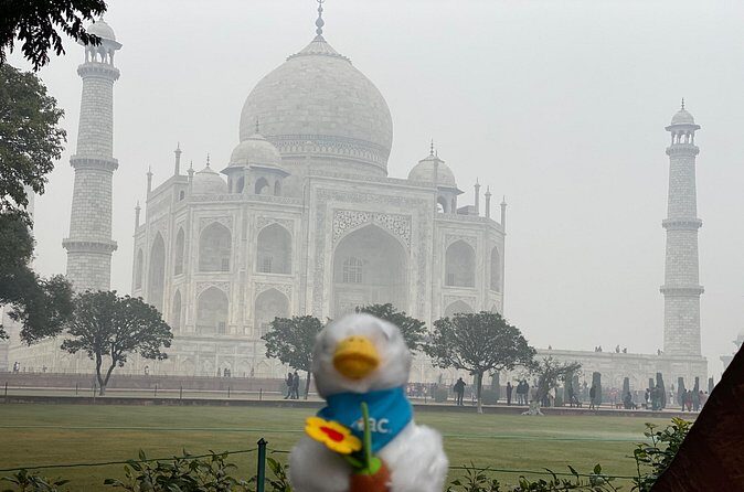Skip-the-Line Taj Mahal Tour-Hassle-Free Entry & Guide Experience - Who this Taj Mahal + Agra Fort tour is best for