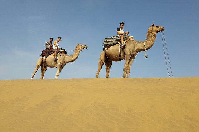 SR Camel Safari Tour Osian-Jodhpur - Key Things to Know Before You Go