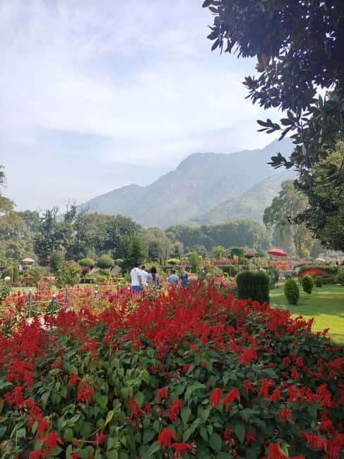 Srinagar: Private Old City and Mughal Gardens Guided Tour - Royal Cemetery of Zain-ul-Abideen’s Mother: Quiet Context in a Busy Day