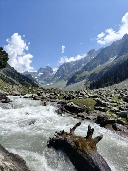 Srinagar: Sonamarg Day Tour - The Golden Meadow Adventure - What the day feels like: timing, pacing, and comfort