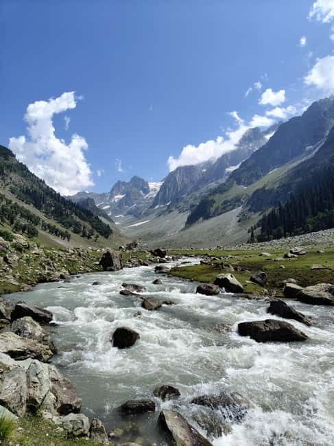 Srinagar: Sonamarg Day Tour - The Golden Meadow Adventure - Golden Meadow and the Sindh River: where you get to breathe