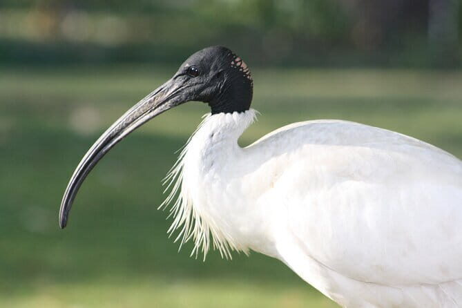 Sultanpur Bird Sanctuary Tour Near Delhi - Key highlights worth planning for