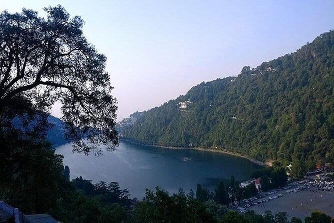 Sultanpur Bird Sanctuary Tour Near Delhi - Wooded zones, lake banks, and the tower for waterbirds