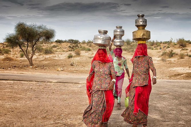 Sun Set Safari with Dinner - Sunset camel ride: what to expect and how to make it comfortable
