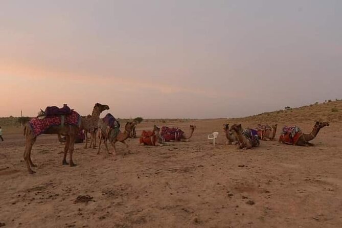 Sun Set Safari with Dinner - Price and value: is $90 reasonable for what you get?
