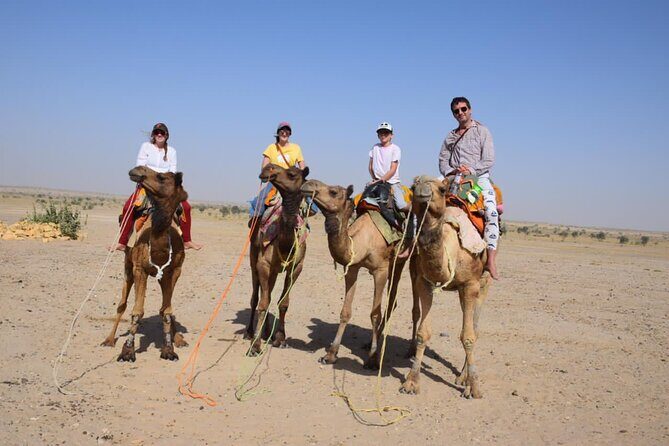 Sun to Stars - Full-Day Ride & Overnight in the Dunes - Thar Desert overnight from Jaisalmer: why this format works