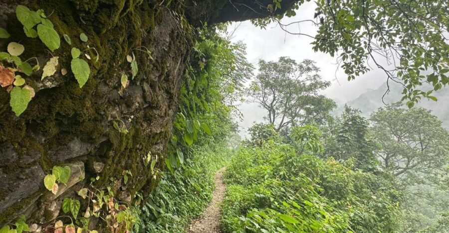 Sunrise Day Hike in Rishikesh - Key things to know before you go