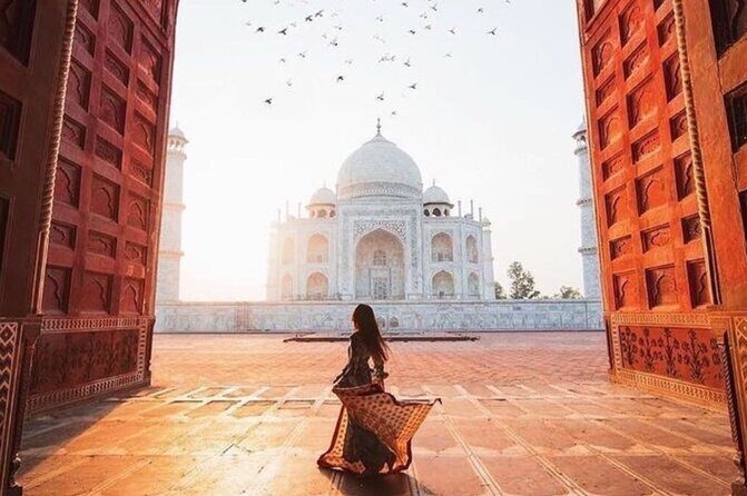 Sunrise Taj Mahal & Agra Fort Private Tour from Delhi – Inclusive - Timing, pace, and comfort: what to expect from a 10–12 hour plan