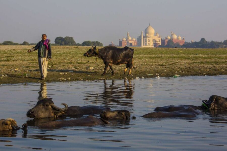 Taj Mahal, Agra Fort Day Tour with Transfers - Why this Taj Mahal and Agra Fort day tour feels worth it from Delhi