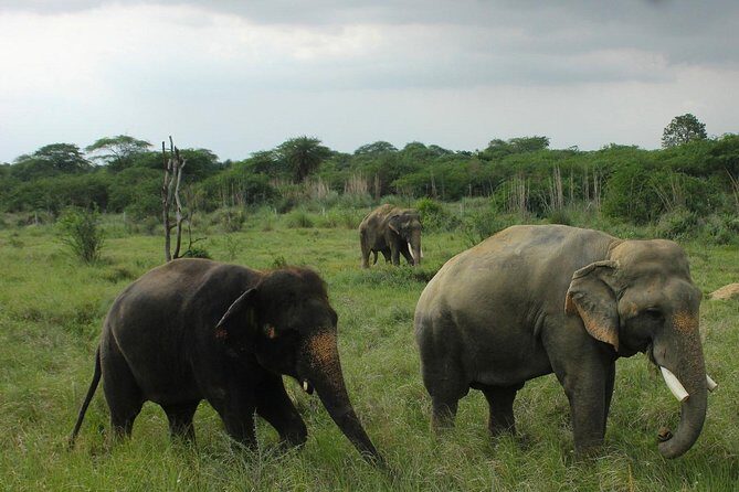 Taj Mahal, Agra Fort & Elephant Rescue Sanctuary Private Day Trip - Wildlife SOS Agra: meaningful, optional, and the timing wildcard