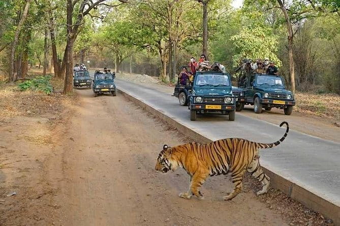 Taj Mahal & Agra Private Day Tour from New Delhi by Car with Meal - Meal at DoubleTree by Hilton Agra: a real break, not just a pit stop