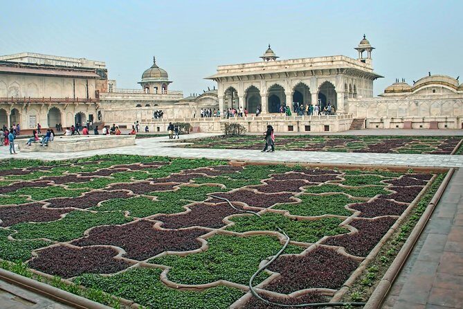 Taj Mahal Private Guided Tour from Delhi with Tickets + Food - Tickets, Lunch Options, and Whether $165 Is Good Value