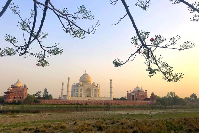 Taj Mahal Sharing Same Day Trip From Delhi Including all - Guide + driver: why punctual, gentle help is a real value