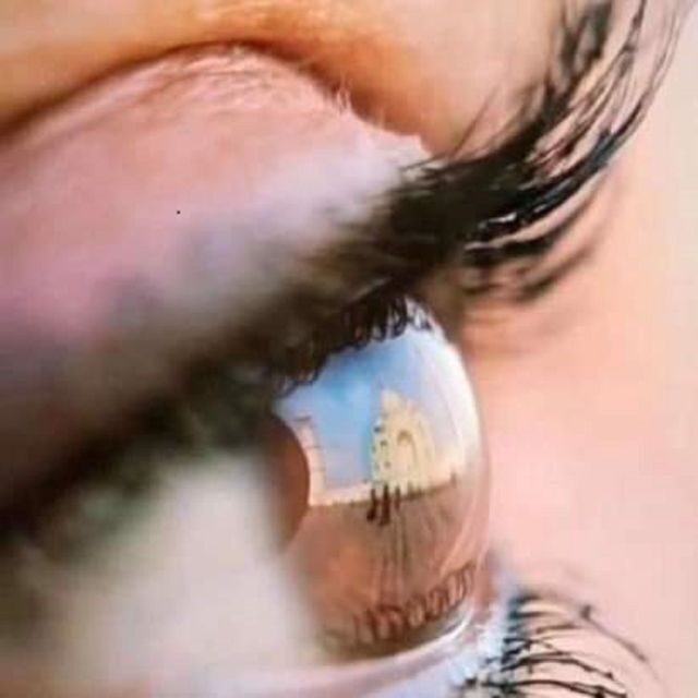 Taj Mahal with Professional Photoshoot - Price and Logistics: Is $57 Good Value for Up to Four?