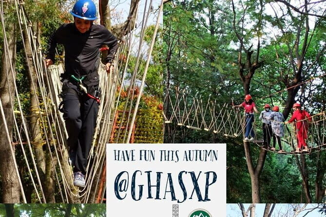 Tea Top Adventure Activities - Rope bridges and first-time nerves: how to make it feel easier