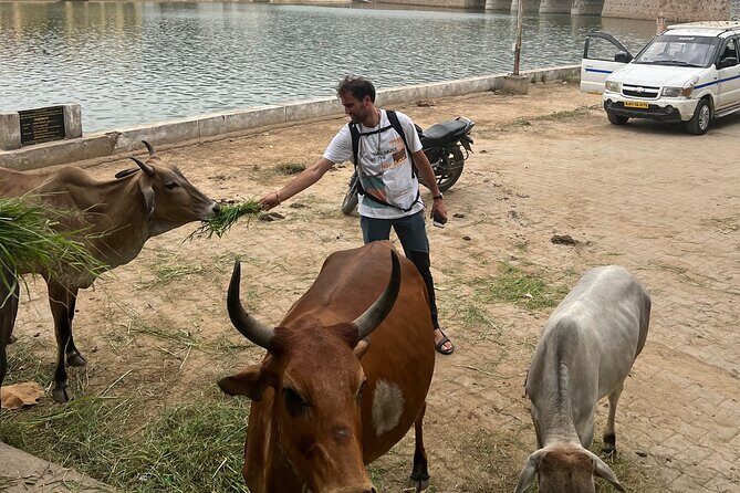 Temples Walk around 52 Ghats ( Spiritual Tour )-The Pushkar Route - Gau Ghat (Gandhi Ghat) and Brahma Ghat’s daily worship vibe