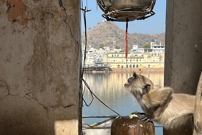Temples Walk around 52 Ghats ( Spiritual Tour )-The Pushkar Route - Koteshwar Mahadev, 108 Mahadev, and the Shiva side of the lake