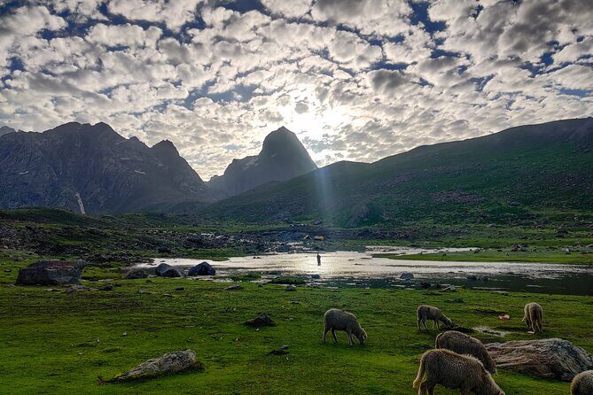 The Best Monsoon Trek: Kashmir Great Lakes - Gangabal to Naranag: the long descent that shapes your last day