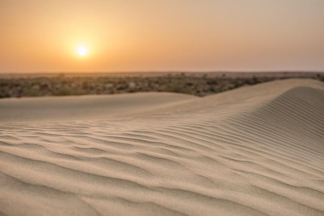 The Billion stars Experience in the Desert - The second camel ride and morning return to Jaisalmer