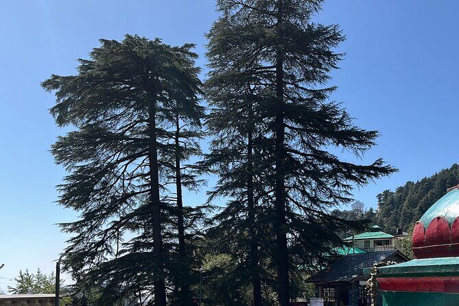 The Story Of Himalayas - A Journey from Amritsar to Dharamshala - Dalai Lama Temple Complex: setting the tone on day one