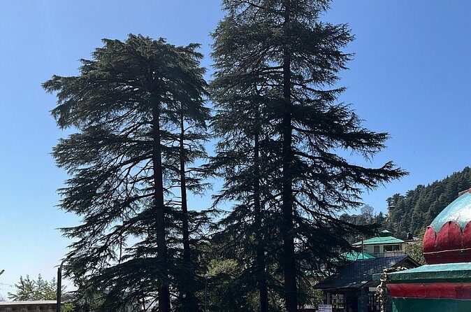 The Story Of Himalayas - A Journey from Amritsar to Dharamshala - Aghanjar Mahadev Temple and Bhagsunag Falls: softer, quieter nature time