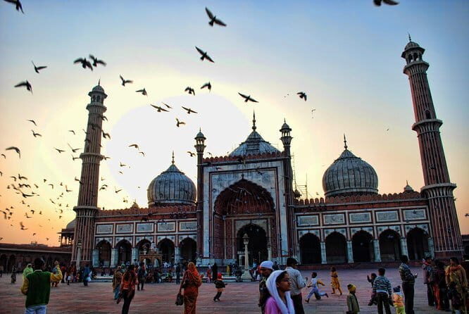 Tour a Nueva y Vieja Delhi Con Guía en Idioma Español - What This Delhi Day Tour Really Feels Like
