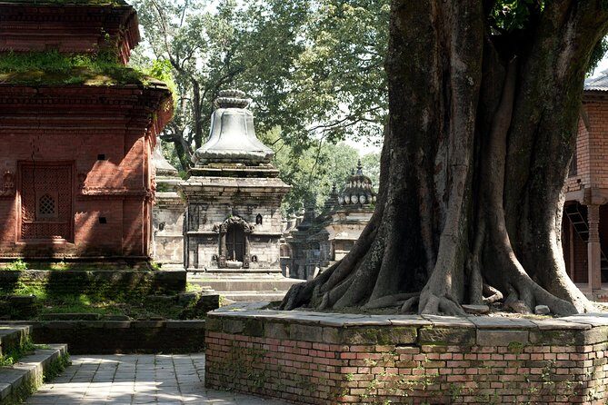 Tour of the Villages of Varanasi (Guided Sightseeing Tour by Car) - Rameshwar by the Varuna: cattle, agriculture, Sanskrit school, and ashrams