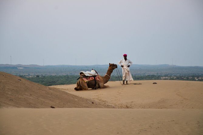 Traditional Desert Experience - Quick highlights