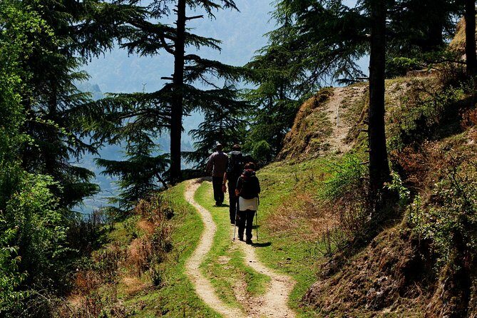 Trek's around Mussoorie - Key highlights you’ll care about