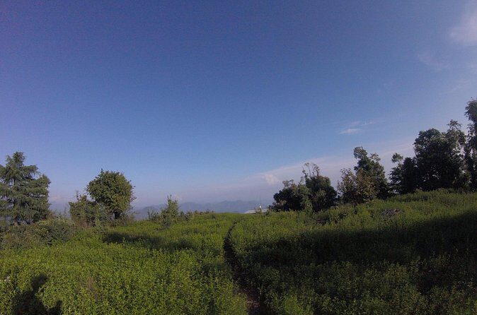 Trek's around Mussoorie - Jungle cooking over a fire stove: what you’re doing