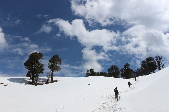 Trek's around Mussoorie - The trek plan: bird searching and a 360° viewpoint