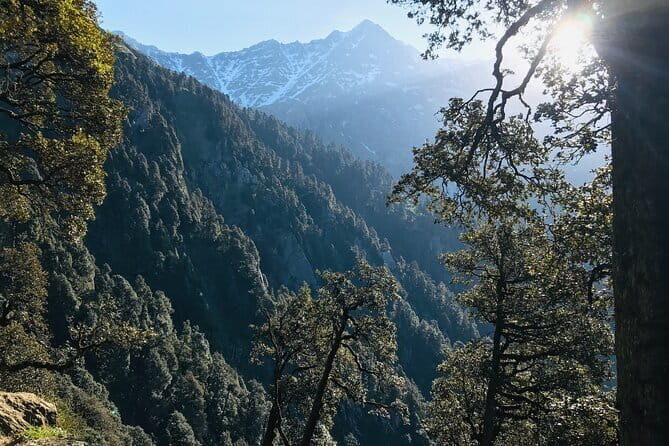 Triund Trek & Snow Line Trek - Triund Night: Tents, Sleeping Bags, and an Actual Camp Experience