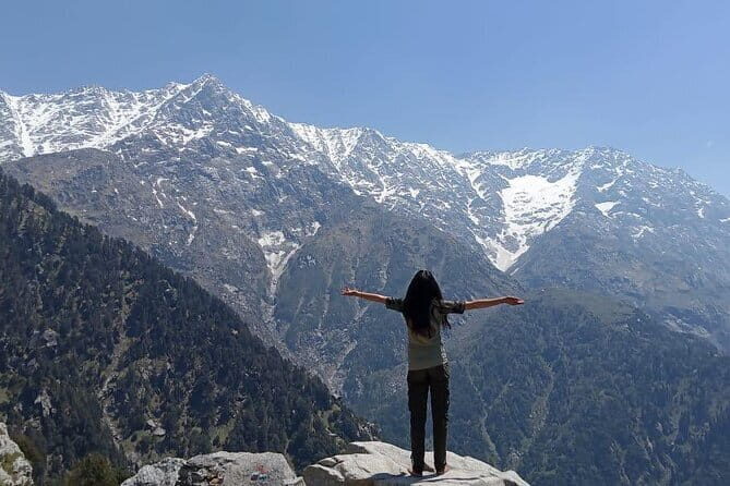 Triund Trek with Manu Adventures India - Day 1 from Bhagsu Nag: a forest climb that sets the tone