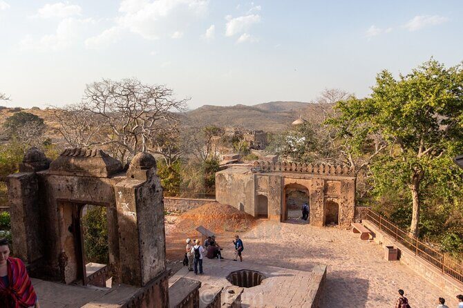 Two Night Safari Experience Ranthambore National Park &Transfers - Ranthambore Safaris: Two Chances With Real-World Vehicle Choices