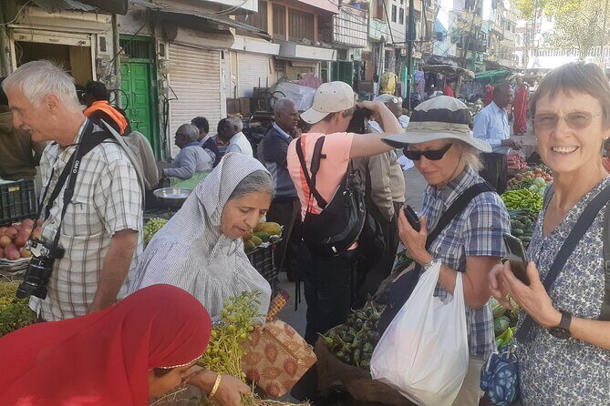 Udaipur Heritage City and Local Market Walking tour - Old temple lanes and residential streets: havelis and wall paintings explained