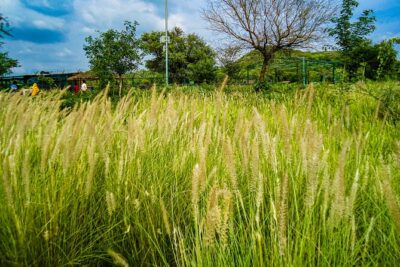Uncover Hidden Treasures of Rural Life on a Village Tour - The real itinerary: how the day typically unfolds from pickup to return