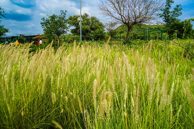 Uncover Hidden Treasures of Rural Life on a Village Tour - The real itinerary: how the day typically unfolds from pickup to return