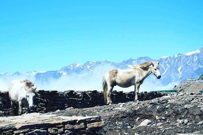 Unique Shimla and Manali tour - Day 2 in Shimla: Tara Devi Temple, Jakhu Hill, and Chadwick Falls