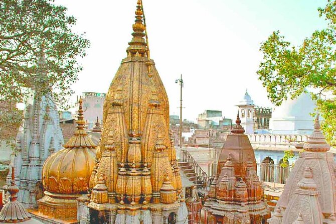Varanasi Day Tour with Ganges Boat Ride & Evening Aarti - Sarnath for the afternoon: Buddhist pilgrimage time and Dhamekh Stupa
