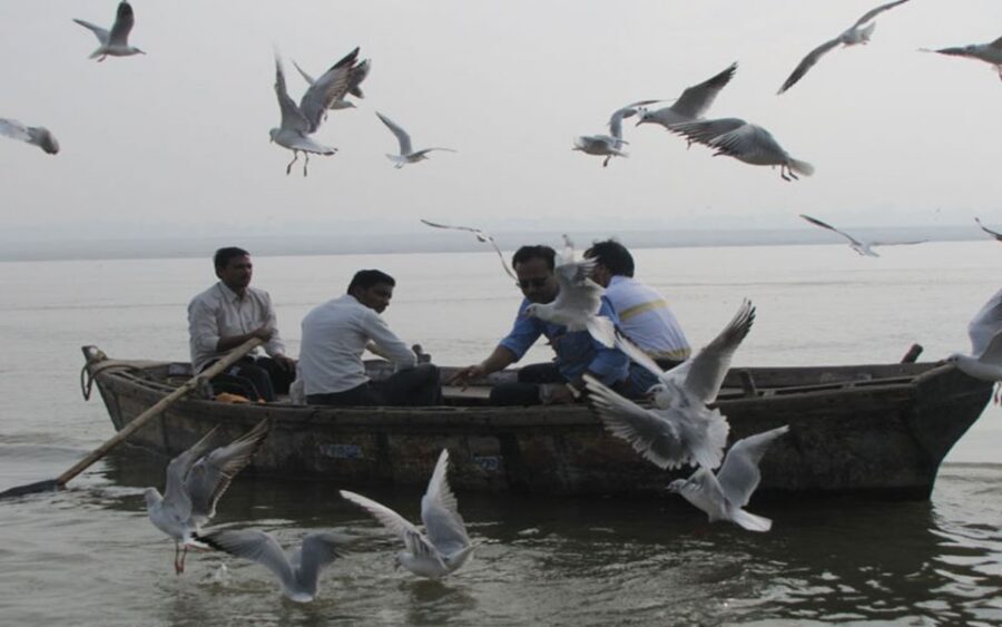 Varanasi: Sunrise Boat Ride w/ Ghats & Morning Rituals - Getting to Ganga Ghat: The AC Transfer That Saves Your Morning