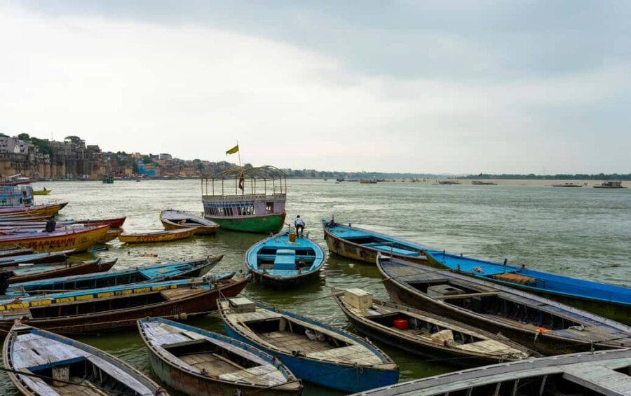 Varanasi: Sunrise & Sarnath City Tour with Multiple Options - The Sarnath Museum: artifacts and terracotta you can see