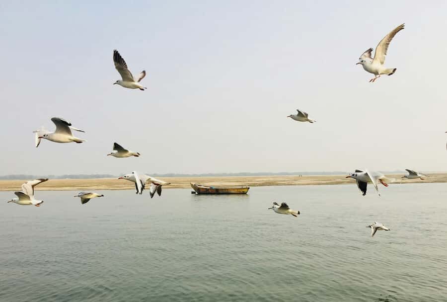 Varanasi: Sunrise walking tour with Chai & Arti Ceremony - Price and value: what $17 includes and what costs extra